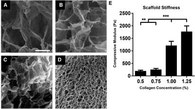 Three-Dimensional Tunable Fibronectin-Collagen Platforms for Control of Cell Adhesion and Matrix Deposition